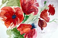 Mohn